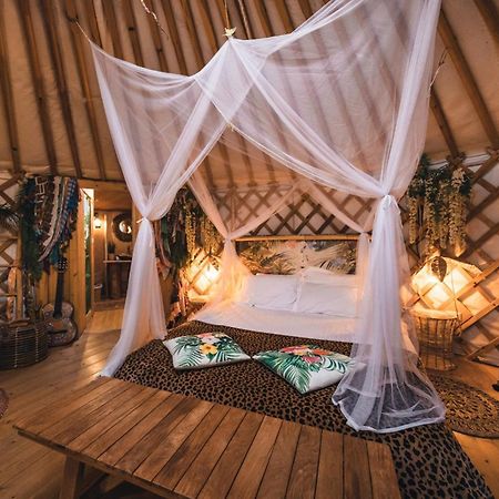 2 CUORI E 1 YURTA Glamping in Tuscany Asciano Bagian luar foto