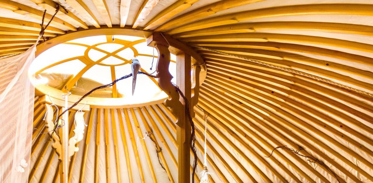 2 CUORI E 1 YURTA Glamping in Tuscany Asciano Bagian luar foto