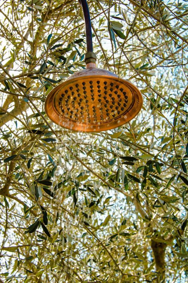 2 CUORI E 1 YURTA Glamping in Tuscany Asciano Bagian luar foto
