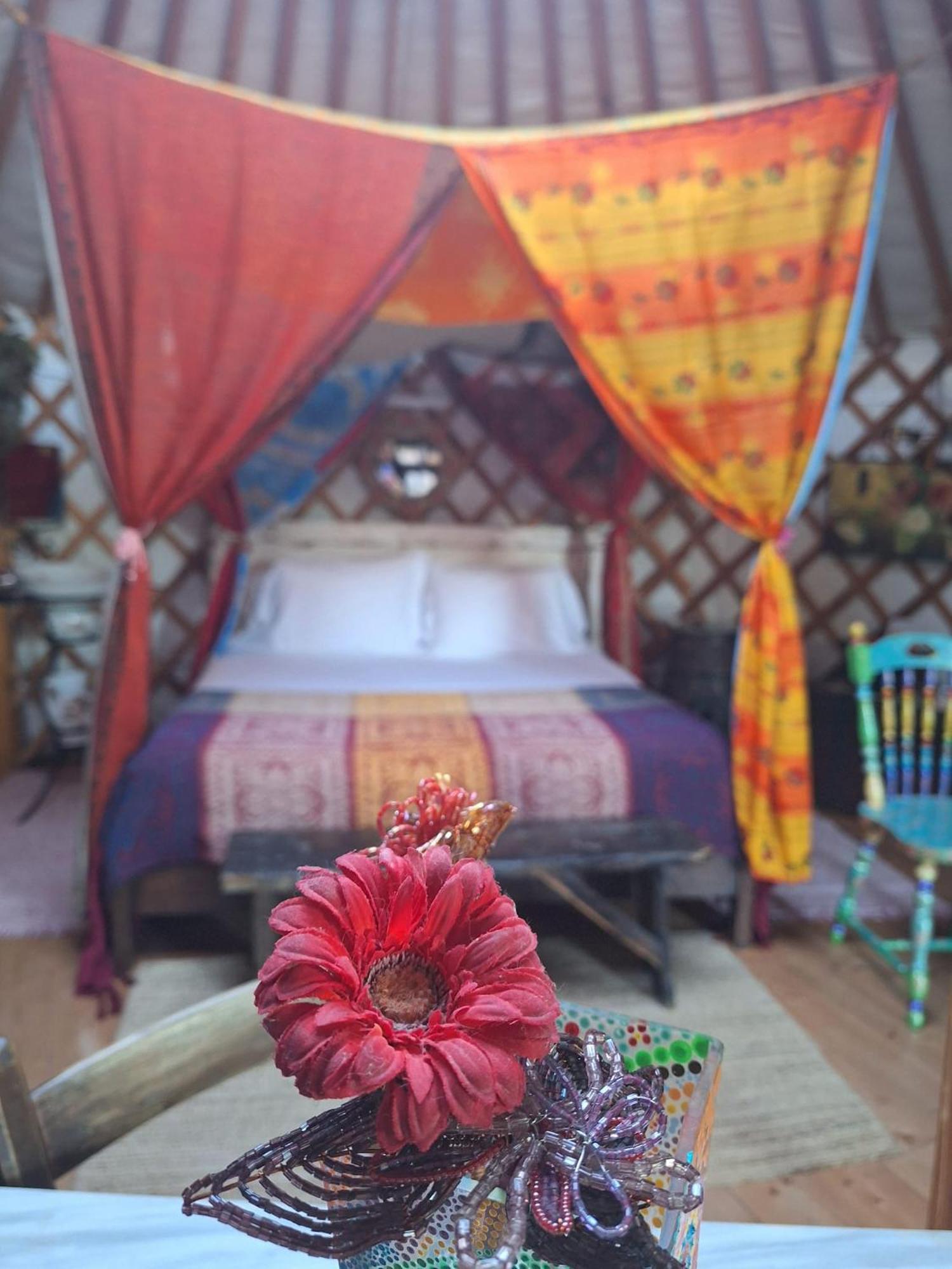 2 CUORI E 1 YURTA Glamping in Tuscany Asciano Bagian luar foto